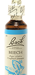 Fleur de Bach n°3 - Beech