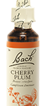 Fleur de Bach n°6 - Cherry Plum