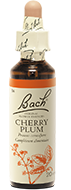 Fleur de Bach n°6 - Cherry Plum