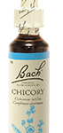 Fleur de Bach n°8 - Chicory