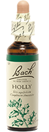 Fleur de Bach n°15 - Holly