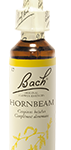 Fleur de Bach n°17 - Horn Beam