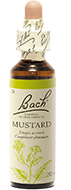 Felur de Bach n°21 - Mustard
