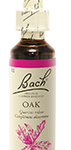 Fleur de Bach n°22 - Oak
