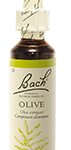 Fleur de Bach n°23 - Olive