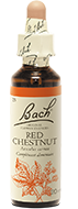 Fleur de Bach n°25 - Red Chesnut