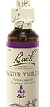 Fleur de Bach Water Violet
