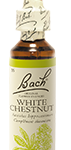Fleur de Bach White Chestnut