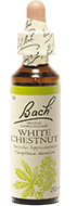 Fleur de Bach White Chestnut