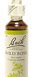 Fleur de Bach Wild Rose